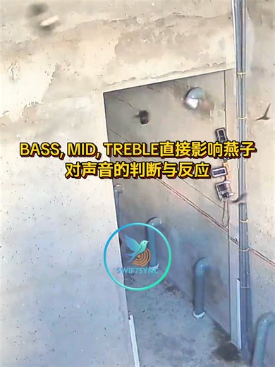 低音，中音，高音，Bass, Mid Treble直接影响燕子对声音的判断与反应。 频段设置正确，燕子快速接受声音环境。 低音的影响 Bass频率范围，20Hz 到 250Hz。 低音影响环境感与稳定感。 这一段决定声音是否扎实，是否连贯。 低音比例准确，燕子感受到连续与安全，不会排斥声音来源。 声音有根，整体吸引力自然提高。 中音的影响 Mid频率范围，250Hz 到 4kHz。 中音影响辨识与信任。 这是燕子最直接解读的频段。 中音清楚，燕子能快速判断声音属性，产生熟悉感与接受度。 中音到位，吸引效率明显提升。 高音的影响 Treble频率范围，4kHz 到 20kHz。 高音影响清晰度与方向感。 这一段决定声音是否开放，是否易于锁定。 高音定位准确，燕子行动明确，反应干脆。 整体声音更具引导性。 三段频率的整体作用 低音建立环境基础。 中音形成沟通核心。 高音完成定位指引。 频段协同，燕子更快进入状态，更容易形成稳定活动与停留。 精准频段，比音量更重要。 比例正确，声音自然有效。 我们的精准燕声系统，已完成低中高频的吸引比例设计。 每一段频率，都为燕子的判断服务。 你播放的不是声