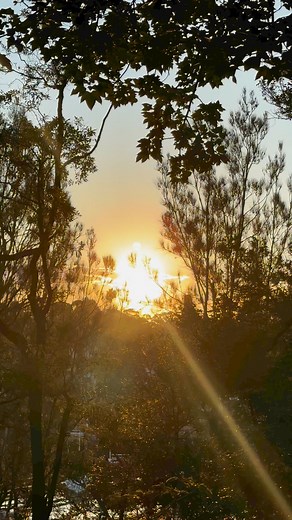 1.9K views · 114 reactions | Bush walks and chasing sunsets! ‍♀️殺️ #naturephotography #CMTawards #eclipse #sundaymornings #selfcaresunday #manchesterunited | Angie-Ron Perez | Facebook