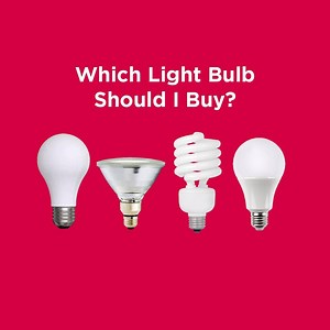 So many options! Find just the right bulbs at your local True Value® store. | True Value
