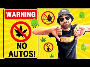 STOP GROWING AUTOFLOWERS!! 😡
