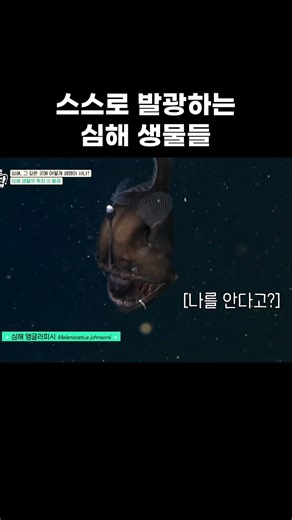 스스로 발광하는 심해 생물들 #shorts #EBS지식