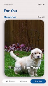 We’re buzzing to have been named Network of the Year at the 2024 Uswitch Telecoms Awards. Join us today and enjoy no EU roaming fees throughout 2024. Find out more at tescomobile.com This is #SupermarketMobile. This is #TescoMobile. | Tesco Mobile