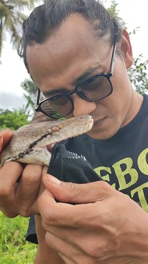 Mangjalu Kameramen on Instagram: "Python teeth structure ... #mangjalukameramen"