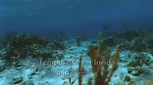 Aquaman.S01E01.Pilot.rus.LostFilm.TV