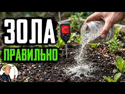 Use Ash Correctly! Soil Acidity Determines Your Harvest