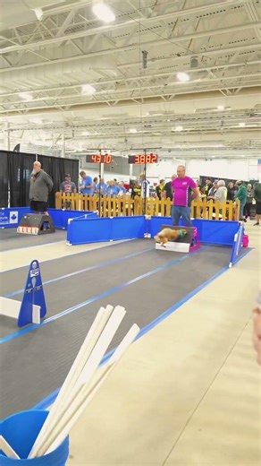 Master the Art of Dark Soy Sauce: The Secret to Perfect Chinese Cooking