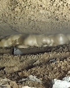 This foam perfectly levels concrete!💡😱 #civilengineering #theconstructor #construction #civil #engineering #civilengineeringworld #civilengineer #engineer #engineers #building #civilconstruction #constructionlife #engineeringlife #constructionworker | The Constructor - Civil Engineering Home