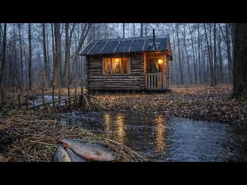 I built a small dam to catch fish Camping in a forest cabin