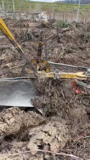 Vineyard terracing on steep hillsides 🚜