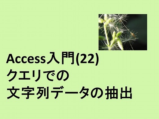 Access入門(22)クエリでの文字列データの抽出