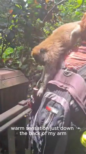 Matt Harvey on Reels