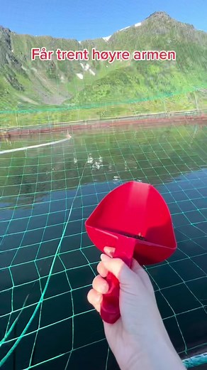 Fish Netting Techniques in Scenic Summer Settings