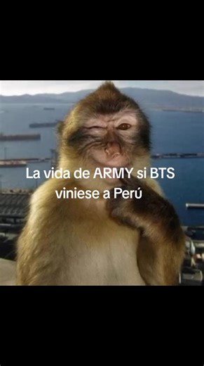 Esas entradas no se pagan solas😿💸 #fypp #tourbts #peru #army2026