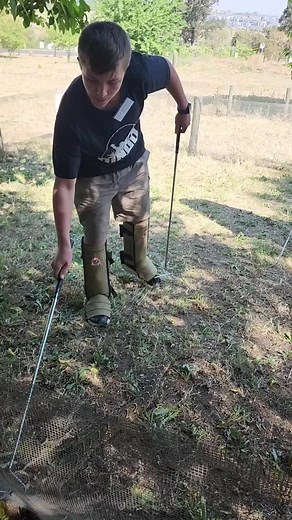 African Reptiles and Venom on TikTok