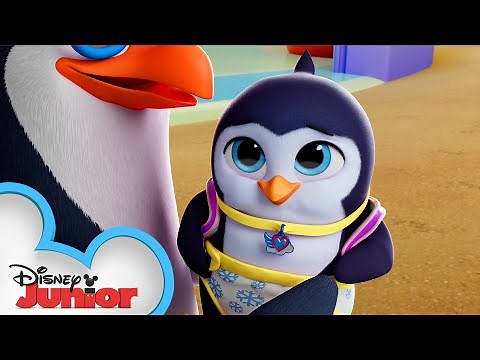 Best Feathered Friends | T.O.T.S. | ‪@disneyjr‬
