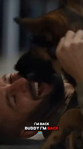 Service Dog Sees Soldier After Months — Absolute Emotional Explosion! 🐕❤️ | Paws And Tales