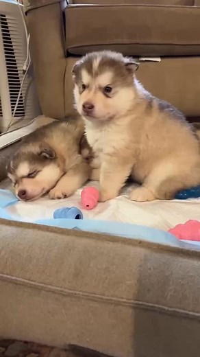 71K views · 4.2K reactions | Turn up the sound! If you love music, you'll really enjoy this! | Joe Henderson | Facebook