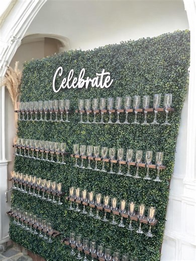 7' Tall Champagne Wall Rental: Cleveland OH - Etsy