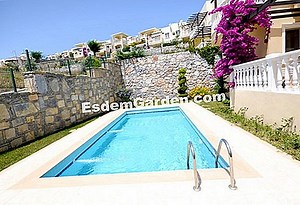 Bir akasya nasıl çıkarılır? 🌿 Tüm Bahçe Ve Bahçe Tasarımı Hakkında - 2025