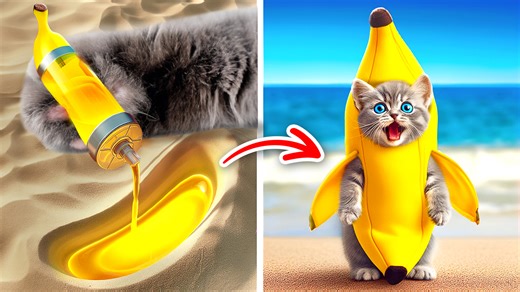 2K views · 18 reactions | Cat tested 24 tiktok myths!  trying viral hacks and recipes with meowsome  | Meow-some | Facebook