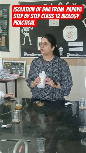 CLASS 12 BIOLOGY PRACTICAL "ISOLATION OF DNA FROM PAPAYA"#experiment #boardexam #cbsesyllabus# neet