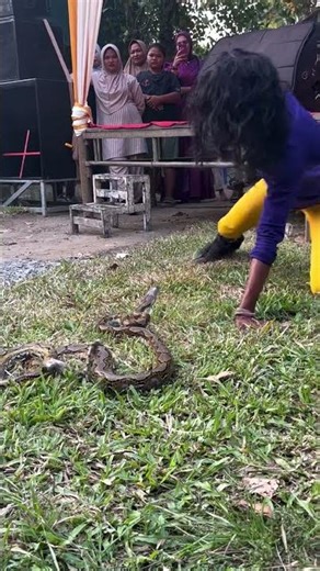 Almost got bitten #comedy #funny