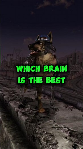 Which Brain is the BEST for Rex in Fallout: New Vegas?