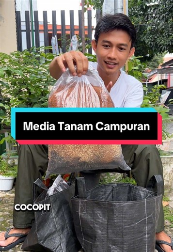 Media Tanam Campuran untuk Tanaman: Rekomendasi Terbaik