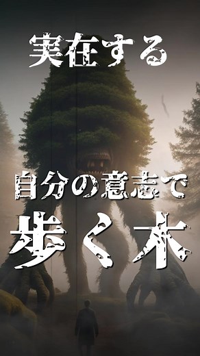 歩く木：自分の意思で動く珍しい植物の謎に迫る