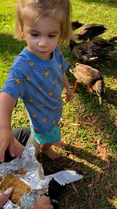 67K views · 943 reactions | KIIS 101.1 on Reels | Facebook