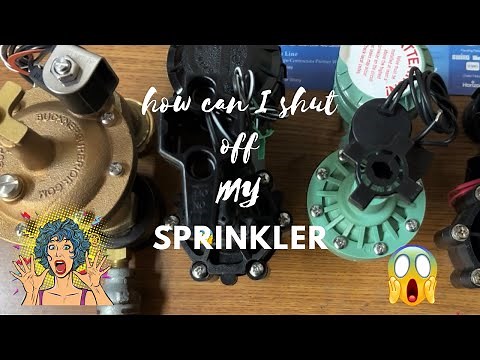 How to shut off an anti-siphon valve - when it won’t shut off by in self