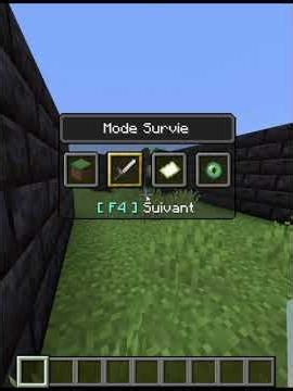 Jour 3 ou je réalise vos défis sur Mincraft !