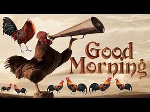 Many Rooster Crowing sound | Rooster crowing sounds Effect 2020 ( mp3 only sound)
