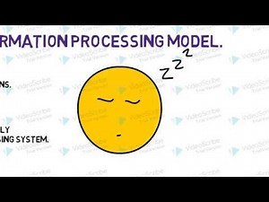 EMDR- Adaptive Information Processing - EMDR Series