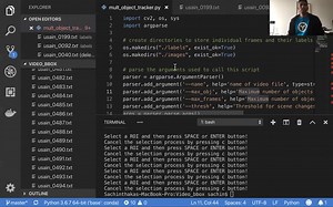 Yolo Video Bounding Box Labelling Tool