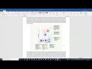 Gating strategy and flow interpretation