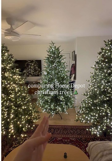 Home Depot Christmas Tree Comparison: Yorkshire vs Grand Duchess