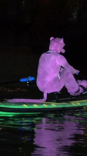 Who knew that Pink Panther could row!! #standuppaddle #fun #adventure #fitness #row #paddling #paddleboarding #suprower #you #summer #summervibes