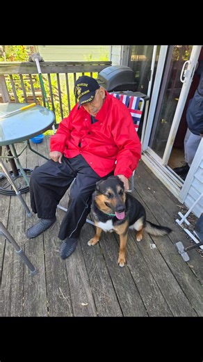 Last night, my father, Candido 'AL, Coach Al' Alicea, passed away at INova Fairfax Hospital. He was 86 years old. There are many people in the Prince William area that knew him from coaching little league baseball and football. He and my mother were involved in the Dale City Sports Club and American Pride Football for many years. There are so many people that I do not have contact information for, so please, send me a message. We will be having a service soon. | Michael Alicea