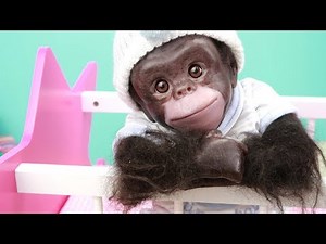 COCO El Bebé Reborn más MONO del mundo - Niñera por un dia