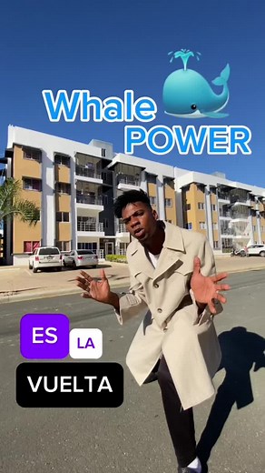 WHALE POWER: Inversión y Ganancias Diarias