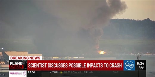 Scientists raise concerns over environmental impacts of crash