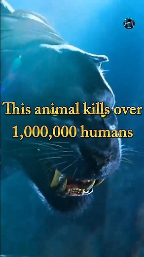 Top 10 most dangerous animals that kill more humans every year #top10 #facts #youtubeshorts #viral