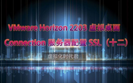 12-VMware Horizon 2203 虚拟桌面-Connection配置SSL（十二）