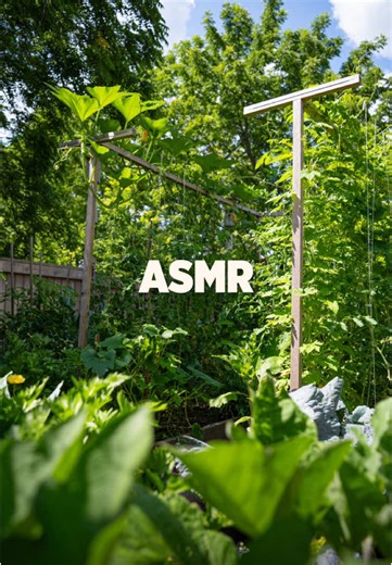 Ultimate Guide to Potato Harvesting from Your Garden