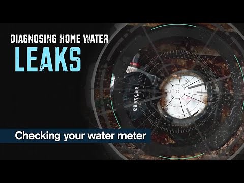 Diagnosing Home Water Leaks: Using your Water Meter as a Tool
