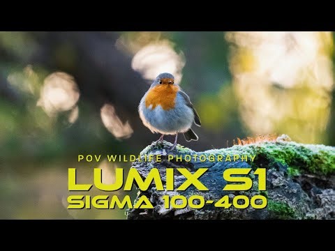 Wildlife POV | Lumix S1 & Sigma 100-400