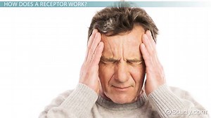 Receptor Function & Disorders