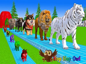 926K views · 9.8K reactions | Dibujos animados de animales: Vaca, cebra, mono, búfalo, elefante, fuente, cruce, transformación | Canciones infantiles de Hop Owl黎 Videos infantiles | Dibujos animados infantiles | Educación infantil . . . . . canciones infantiles dibujos animados para niños aprender colores #niños #aprendercolores #canción #logros #parati | Hop Hop the Owl - Learn Colors - Nursery Rhymes | Facebook