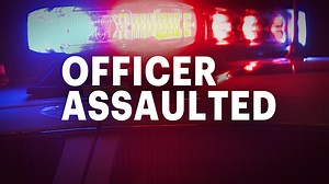 Man punched police officer during disorderly conduct arrest in Newtown